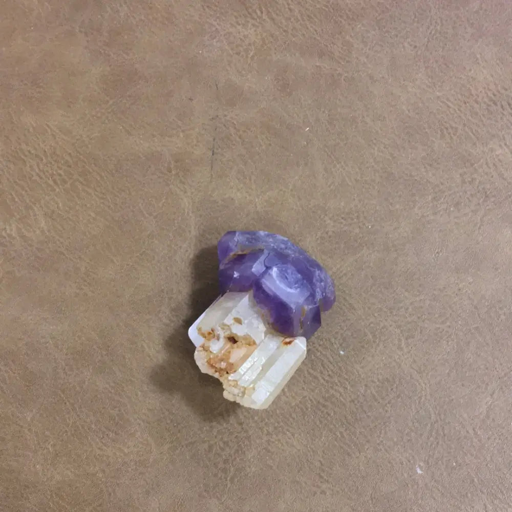 Amethyst and Quartz Scepter - Specimens