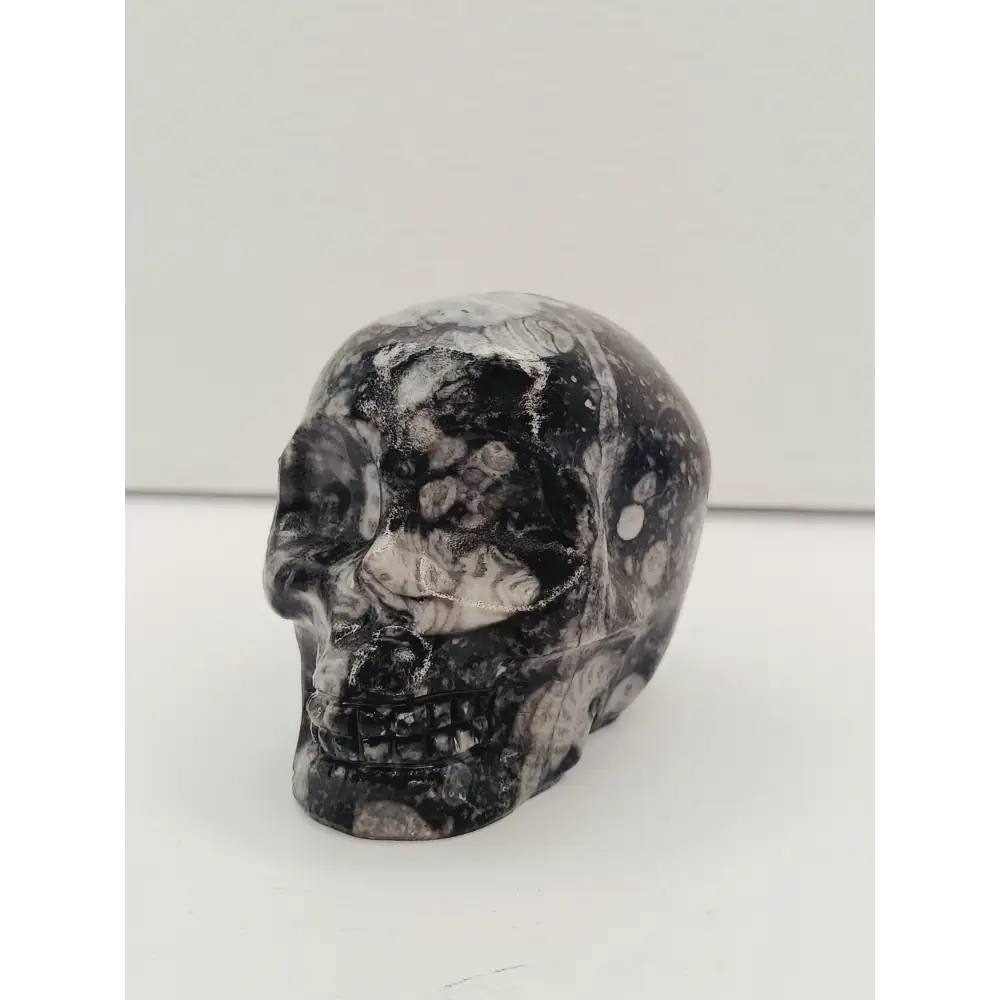 💀✨ Assorted Material Skull 2.6” – Wisdom Transformation and Protection 🌈 - Shell Stone