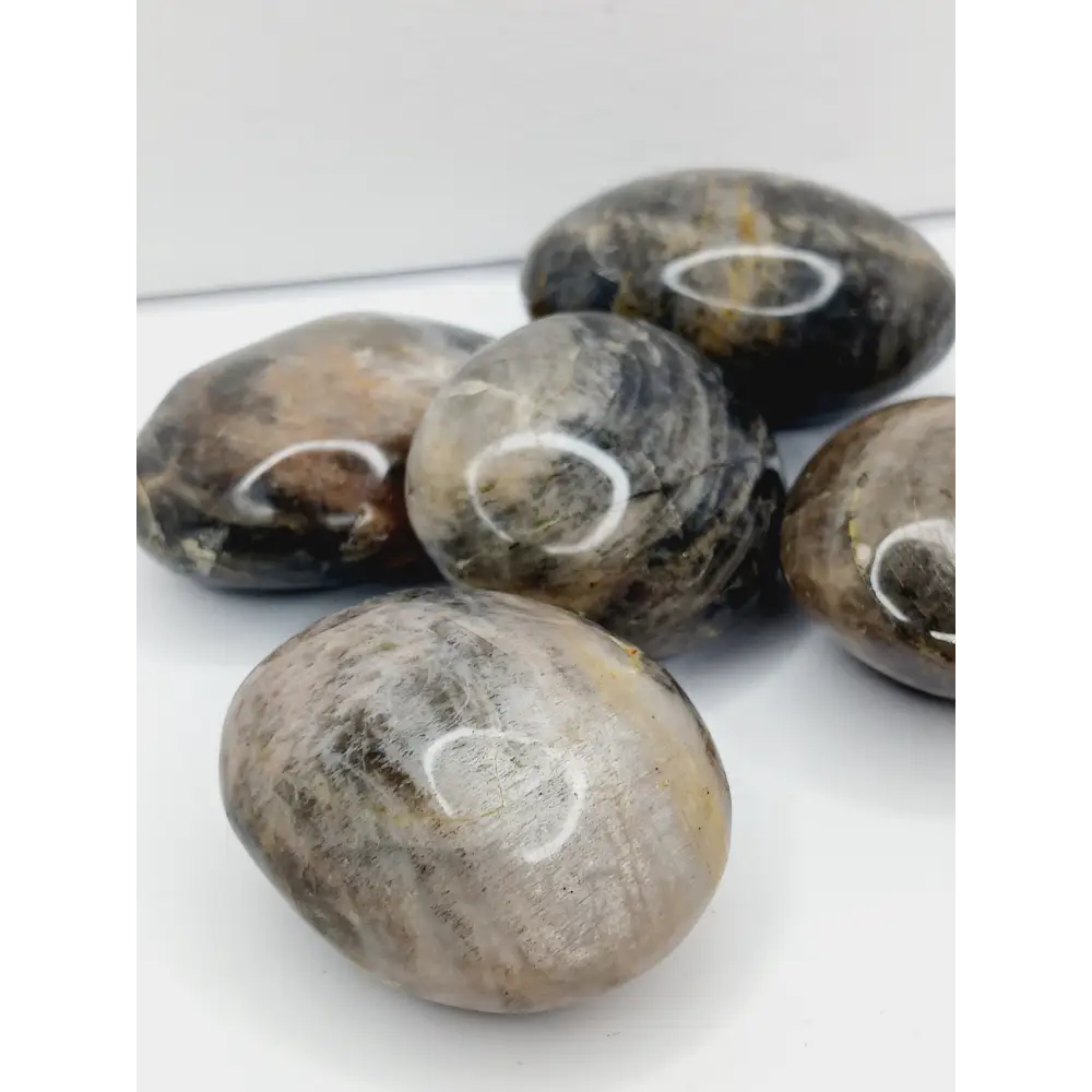 š¤š Black Moonstone Palmstone ā New Beginnings Intuition and Emotional Balance ⨠- PALM