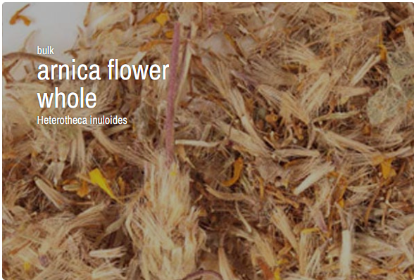 Bulk Herbs by the Half Ounce (.5 oz) - Arnica Flower, whole - Herbs & Accessories