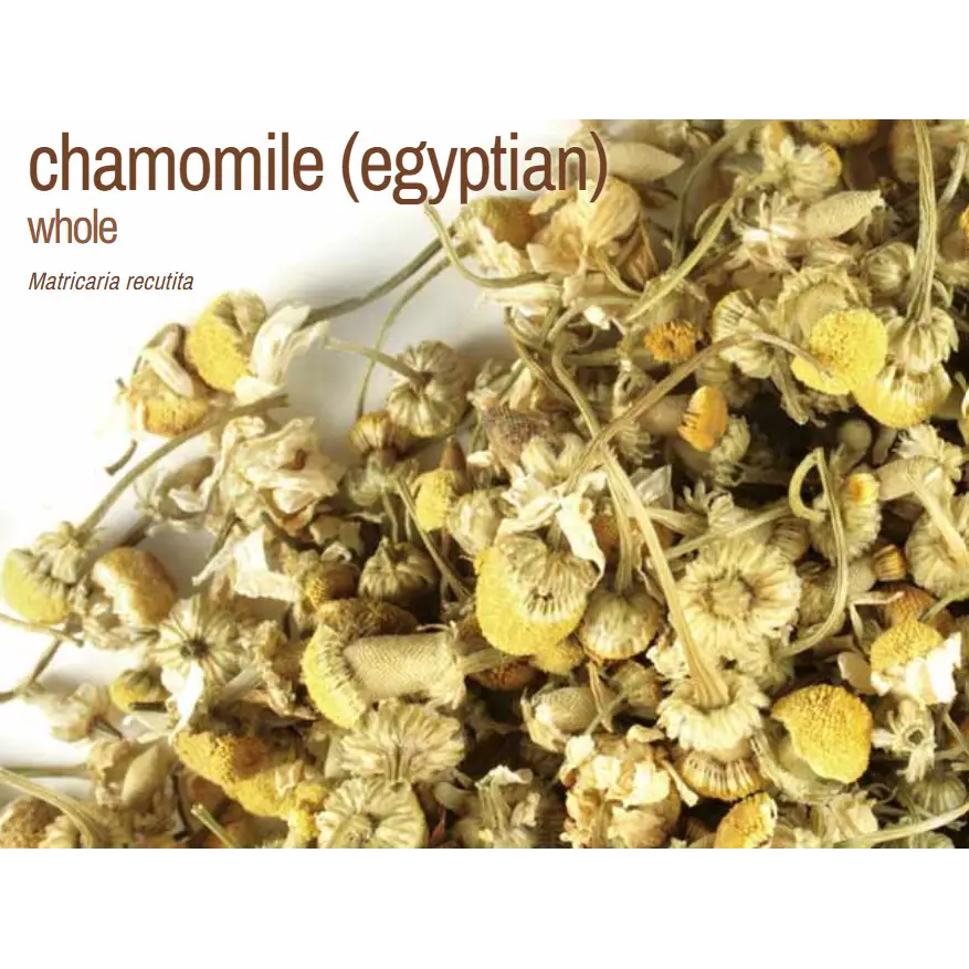 Bulk Herbs by the Half Ounce (.5 oz) - Chamomile Egyptian - Herbs & Accessories