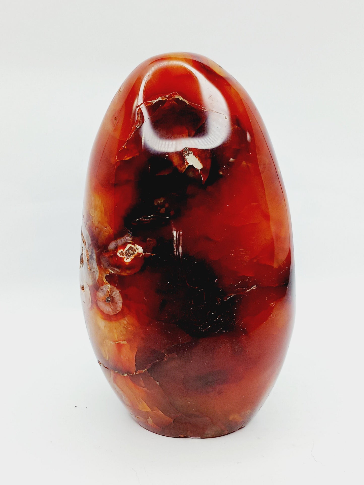 🔥✨ Carnelian Freeform – Motivation and Creative Energy ✨🔥 - PALM