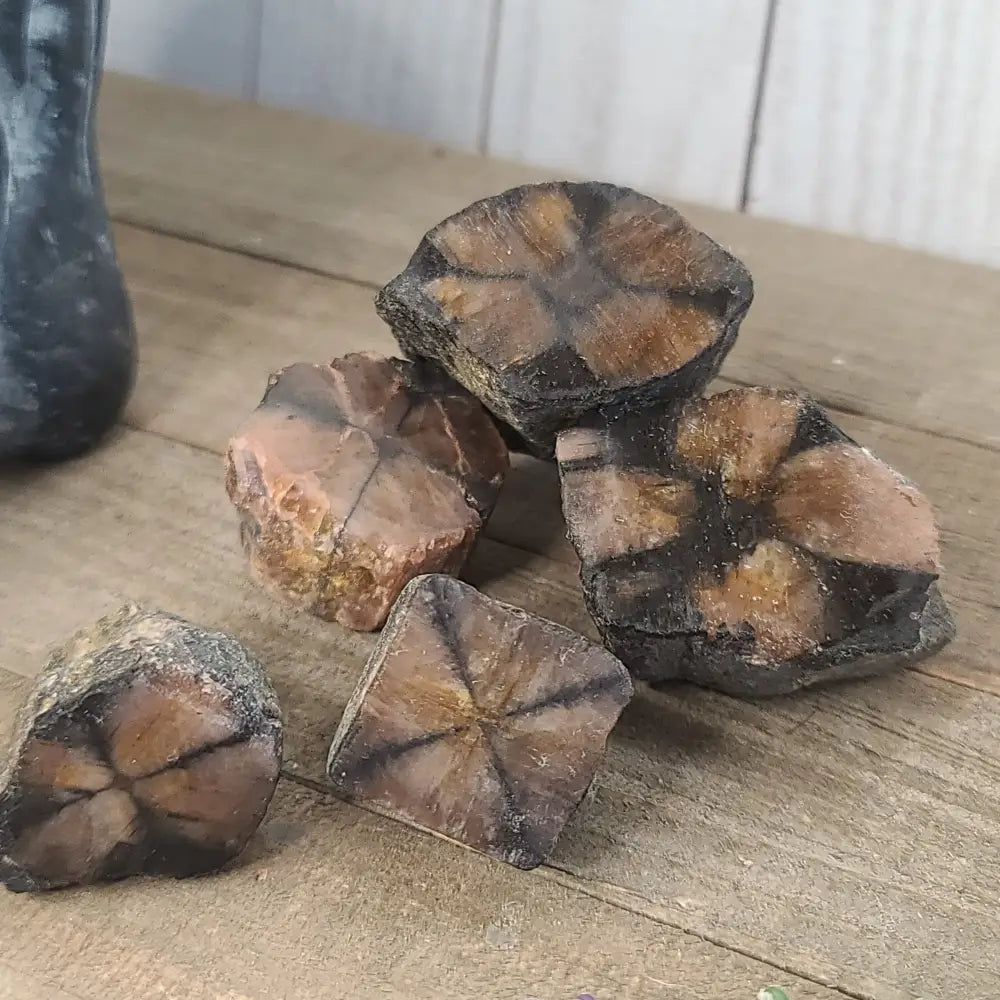 Polished Chiastolite Cross Stone featuring a distinct, naturally formed cross pattern, displayed on a white background.