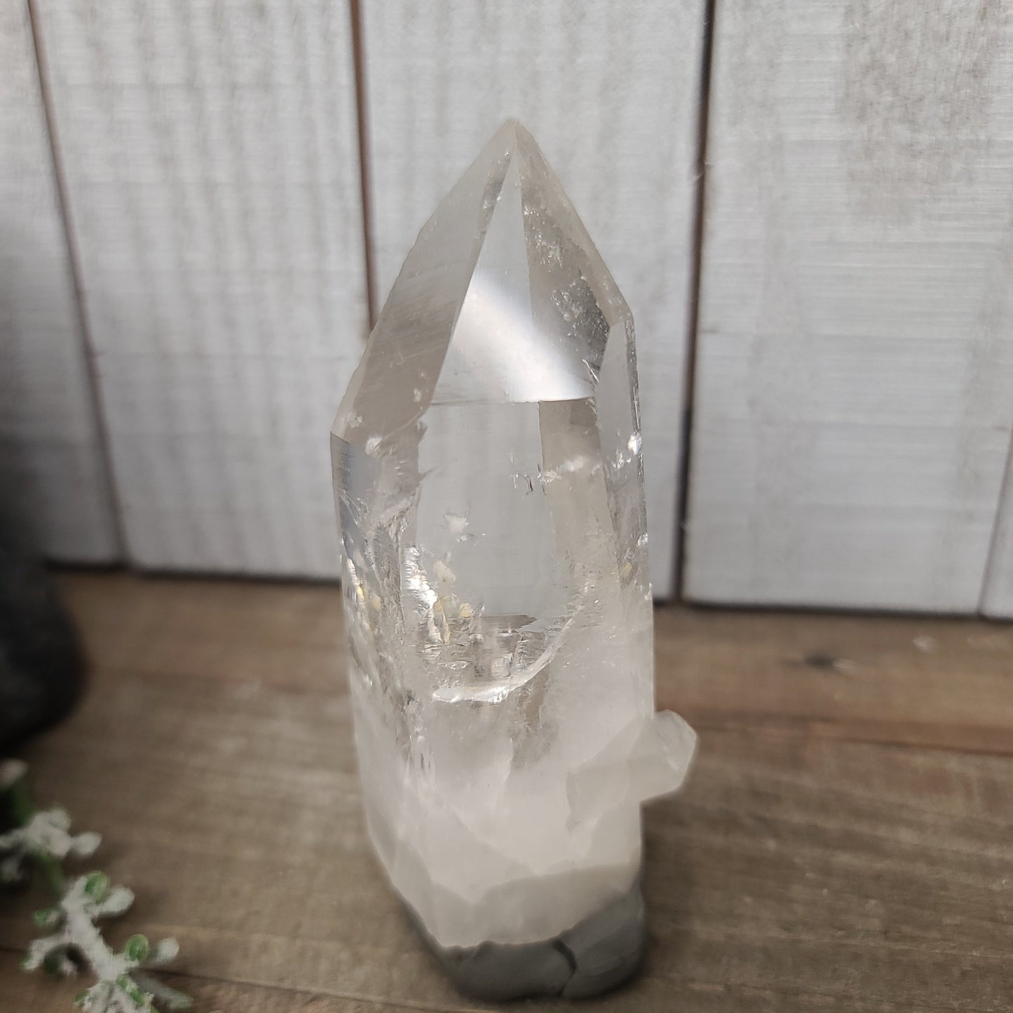 ๐ฎโจ Columbian AAA Grade Lemurian Seed Crystals (2.5โโโ3โโ) โ Ancient Wisdom High Vibration and Soul Connection! ๐ - 25