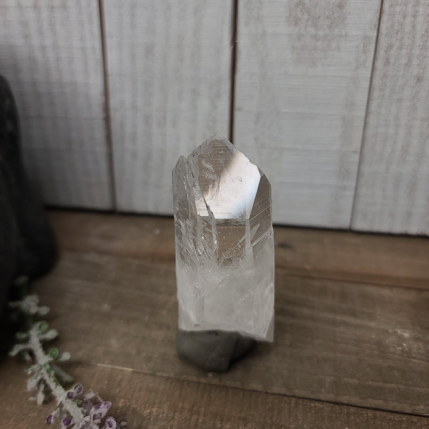๐ฎโจ Columbian AAA Grade Lemurian Seed Crystals (2.5โโโ3โโ) โ Ancient Wisdom High Vibration and Soul Connection! ๐ - 19