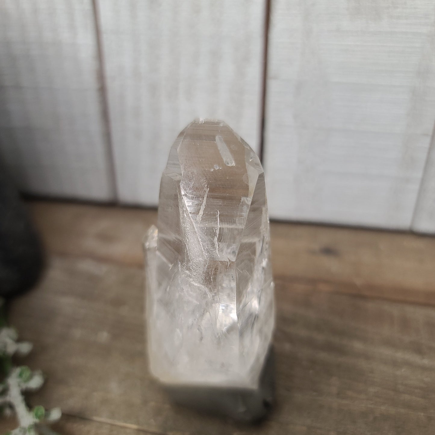 ๐ฎโจ Columbian AAA Grade Lemurian Seed Crystals (2.5โโโ3โโ) โ Ancient Wisdom High Vibration and Soul Connection! ๐ - 17