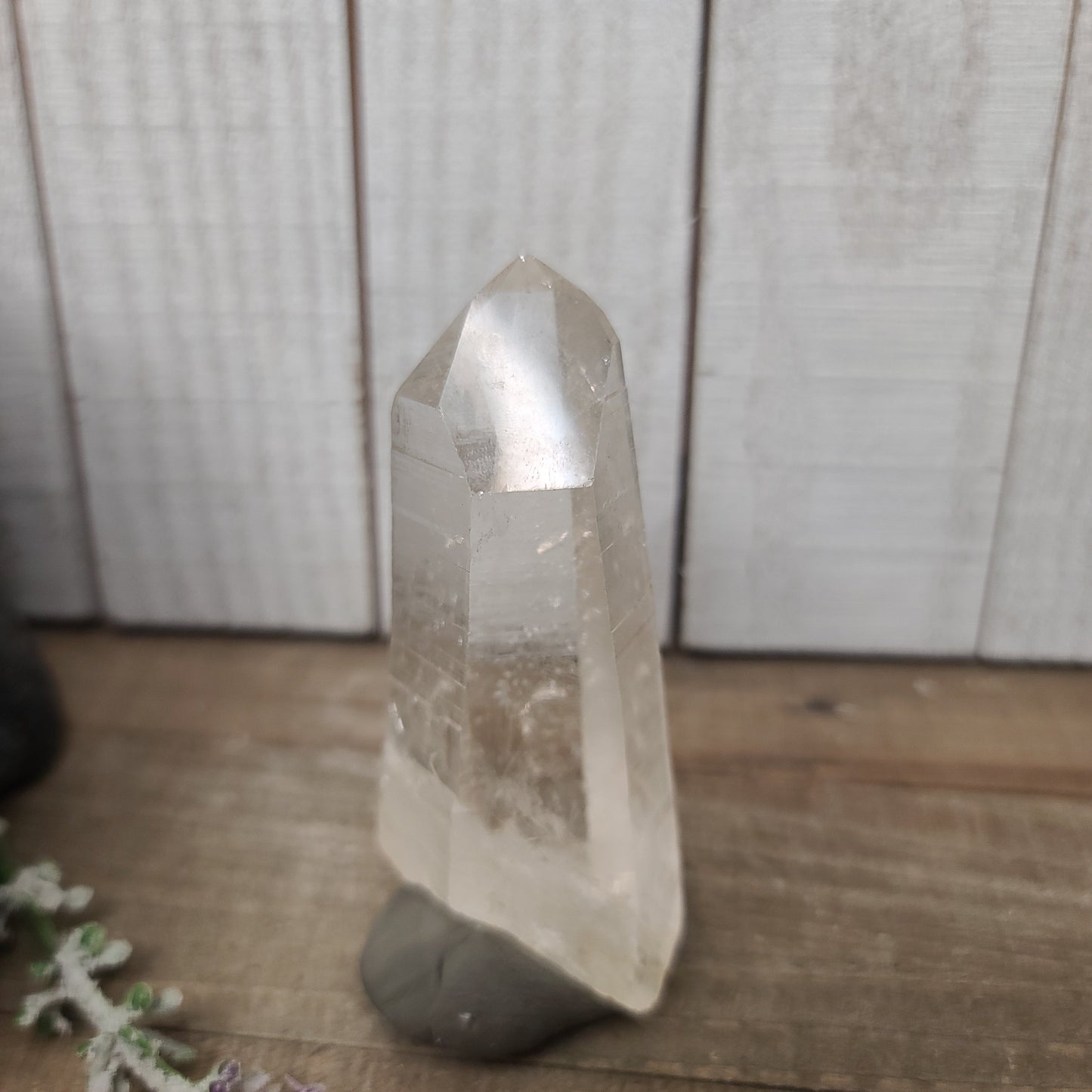 ๐ฎโจ Columbian AAA Grade Lemurian Seed Crystals (2.5โโโ3โโ) โ Ancient Wisdom High Vibration and Soul Connection! ๐ - 24