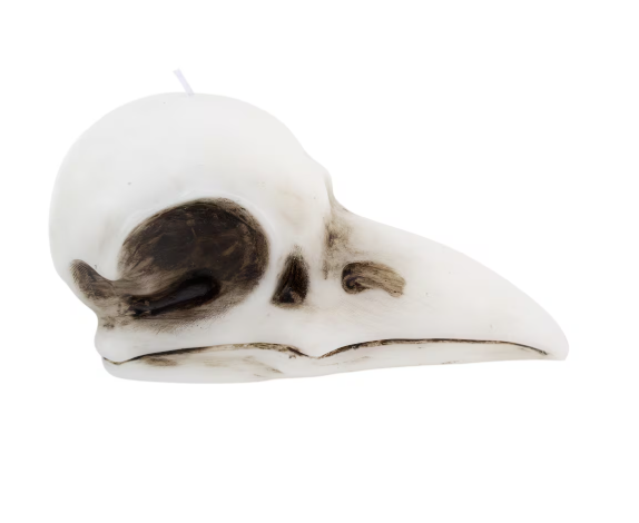 🖤✨ Crow Skull Candle (3.6’’) – Mystical Symbolism Gothic Decor and Ritual Magic! 🕯️