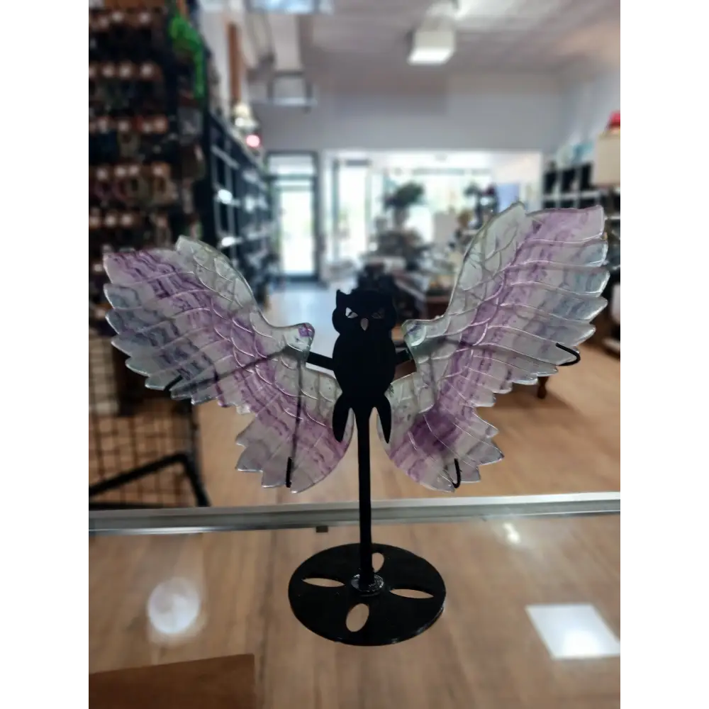 🦉💎 Fluorite Owl with Stand – Wisdom Clarity and Majestic Energy! ✨ - Fluorite Owl w/ Stand- BIG - Carvings
