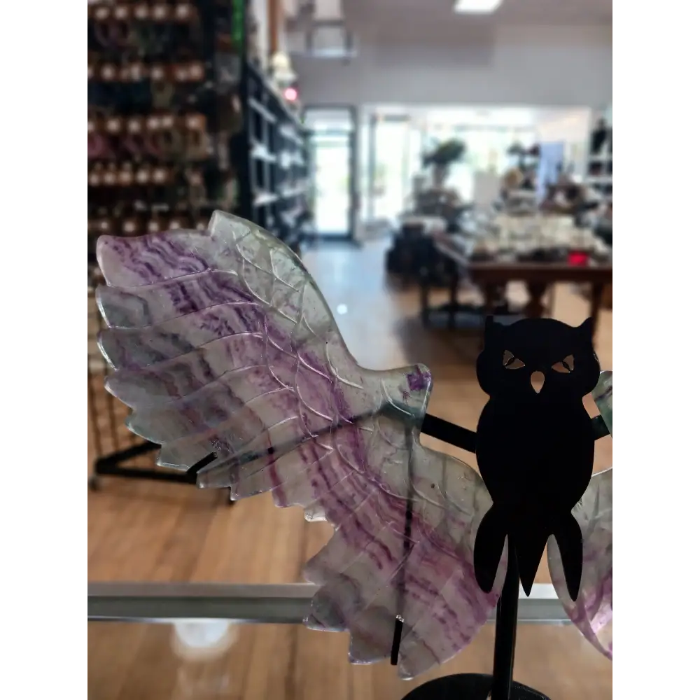 🦉💎 Fluorite Owl with Stand – Wisdom Clarity and Majestic Energy! ✨ - Fluorite Owl w/ Stand- BIG - Carvings