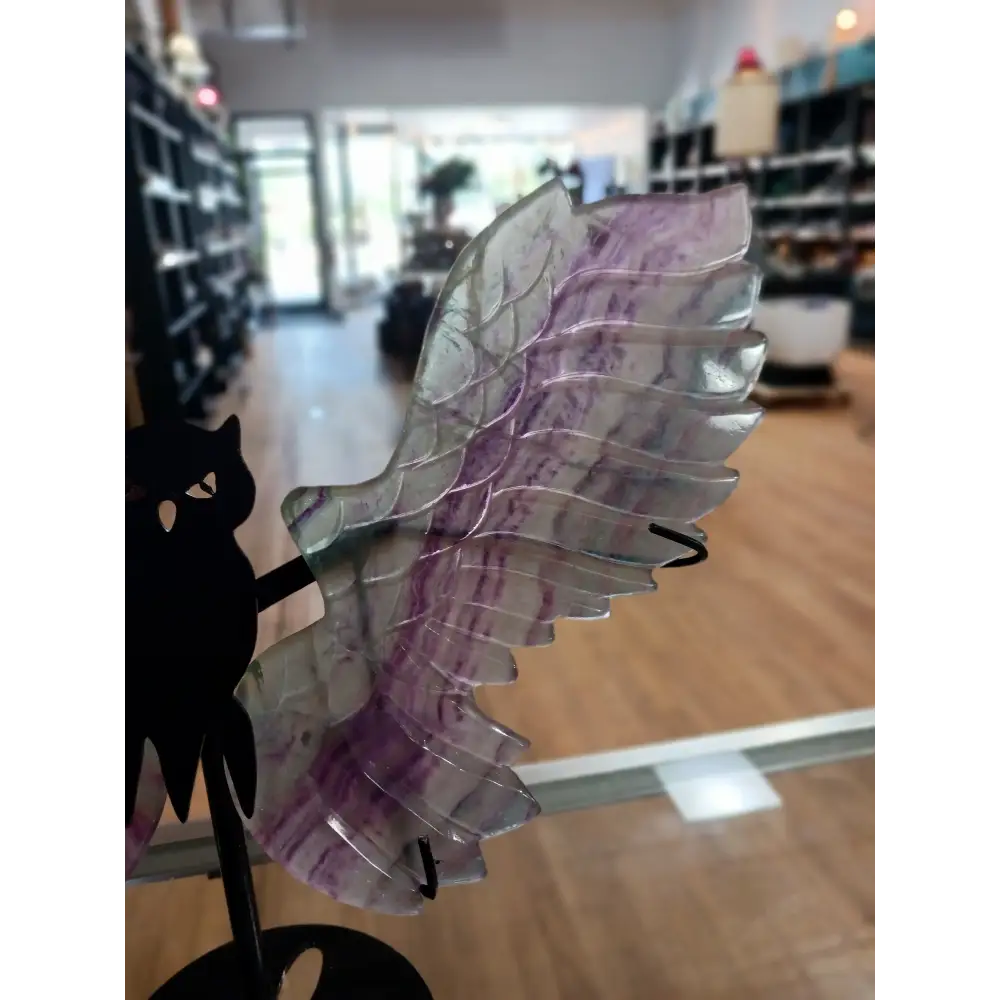 🦉💎 Fluorite Owl with Stand – Wisdom Clarity and Majestic Energy! ✨ - Fluorite Owl w/ Stand- BIG - Carvings