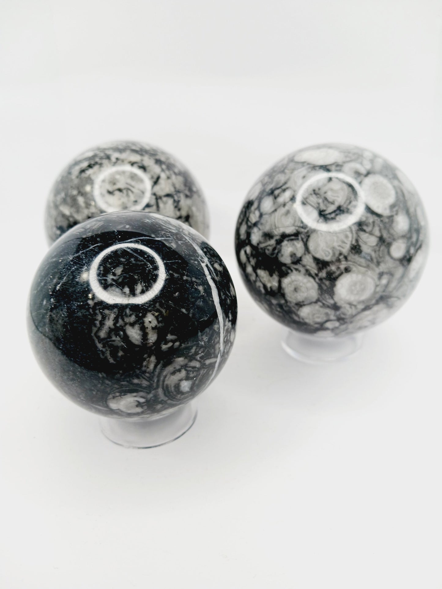 🌿🦴 Fossil Agate Sphere (2.5’’–3’’) – Ancient Wisdom Grounding Energy and Natural Beauty! ✨