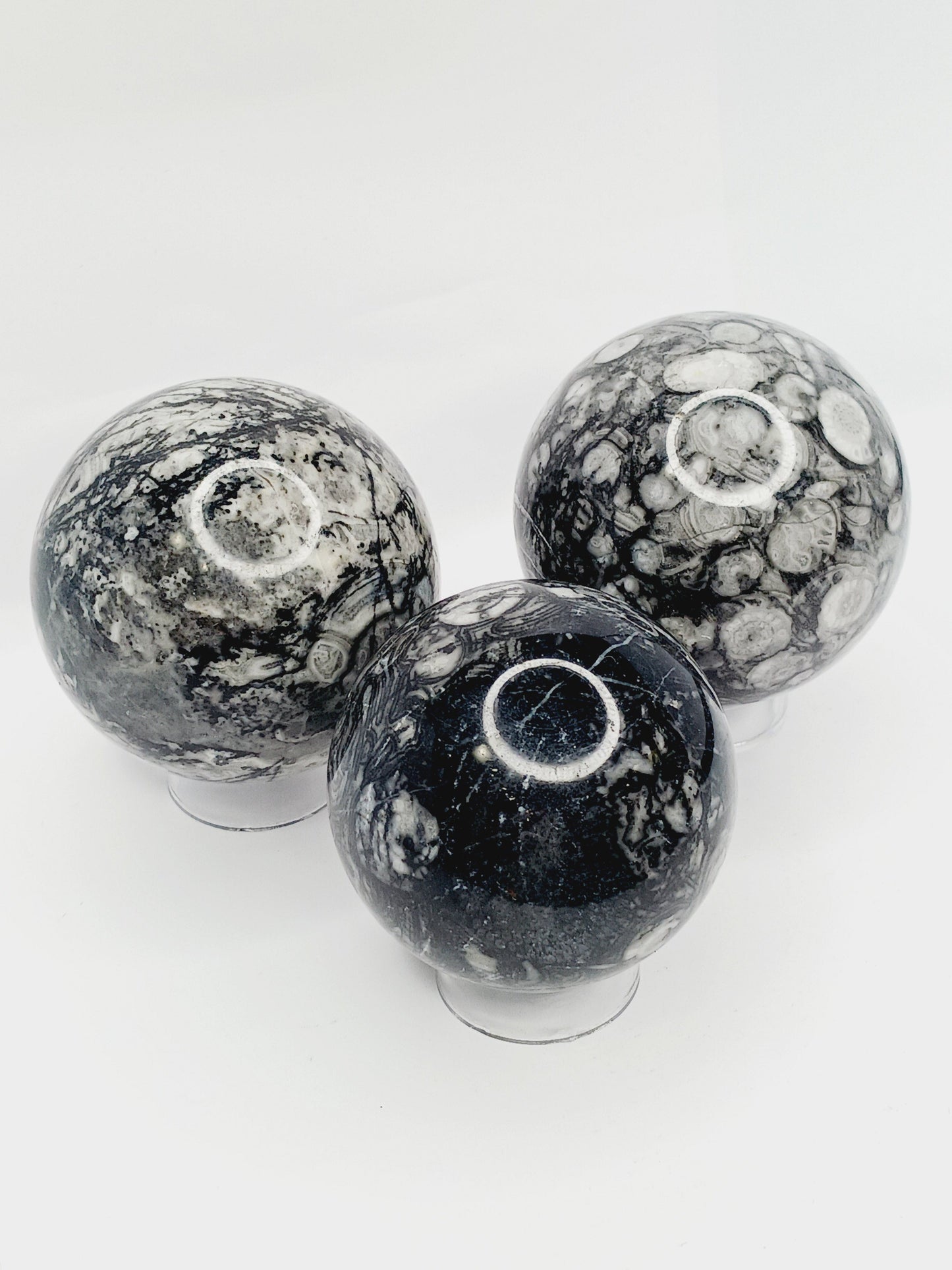 🌿🦴 Fossil Agate Sphere (2.5’’–3’’) – Ancient Wisdom Grounding Energy and Natural Beauty! ✨
