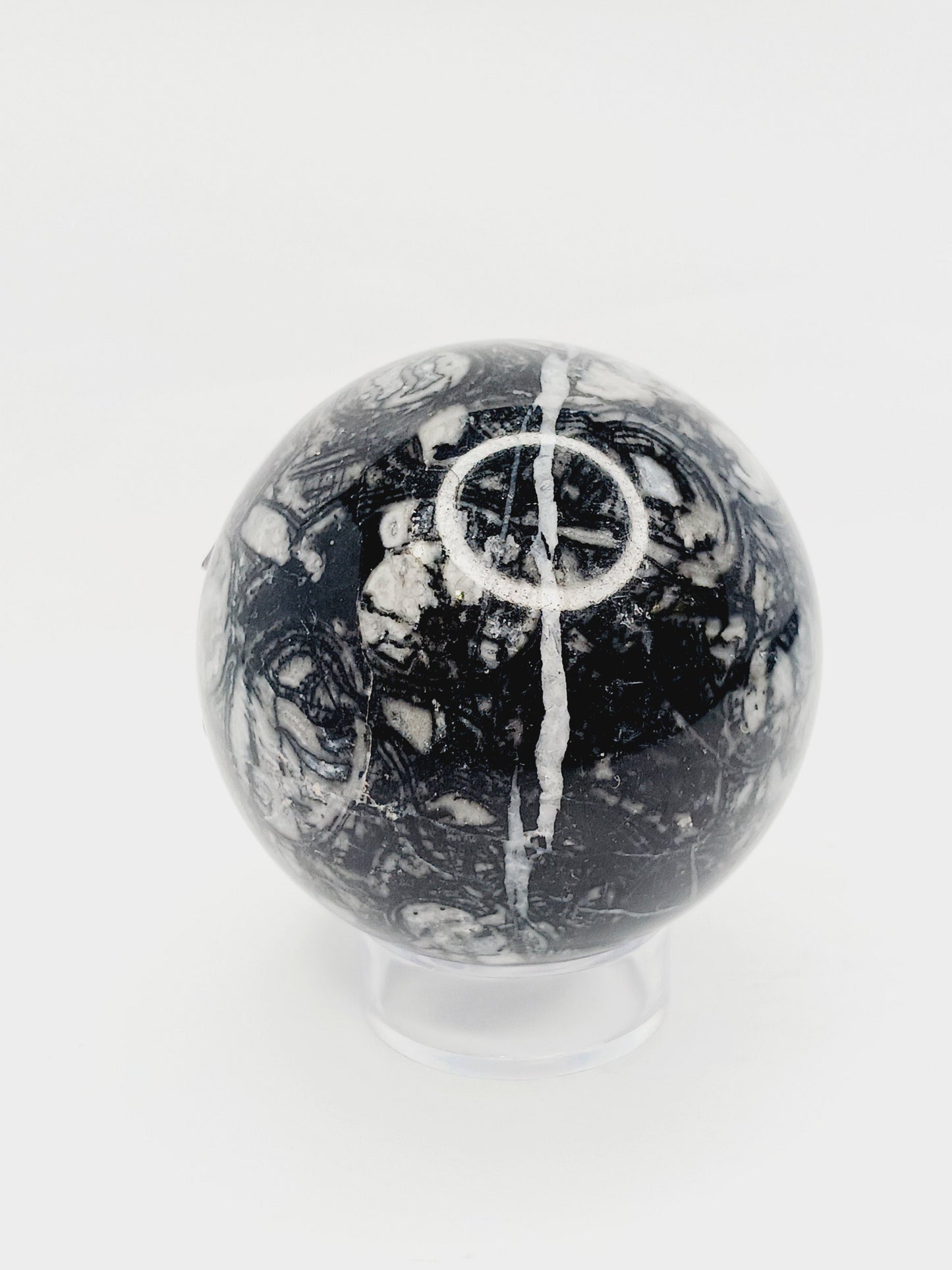 🌿🦴 Fossil Agate Sphere (2.5’’–3’’) – Ancient Wisdom Grounding Energy and Natural Beauty! ✨ - 3