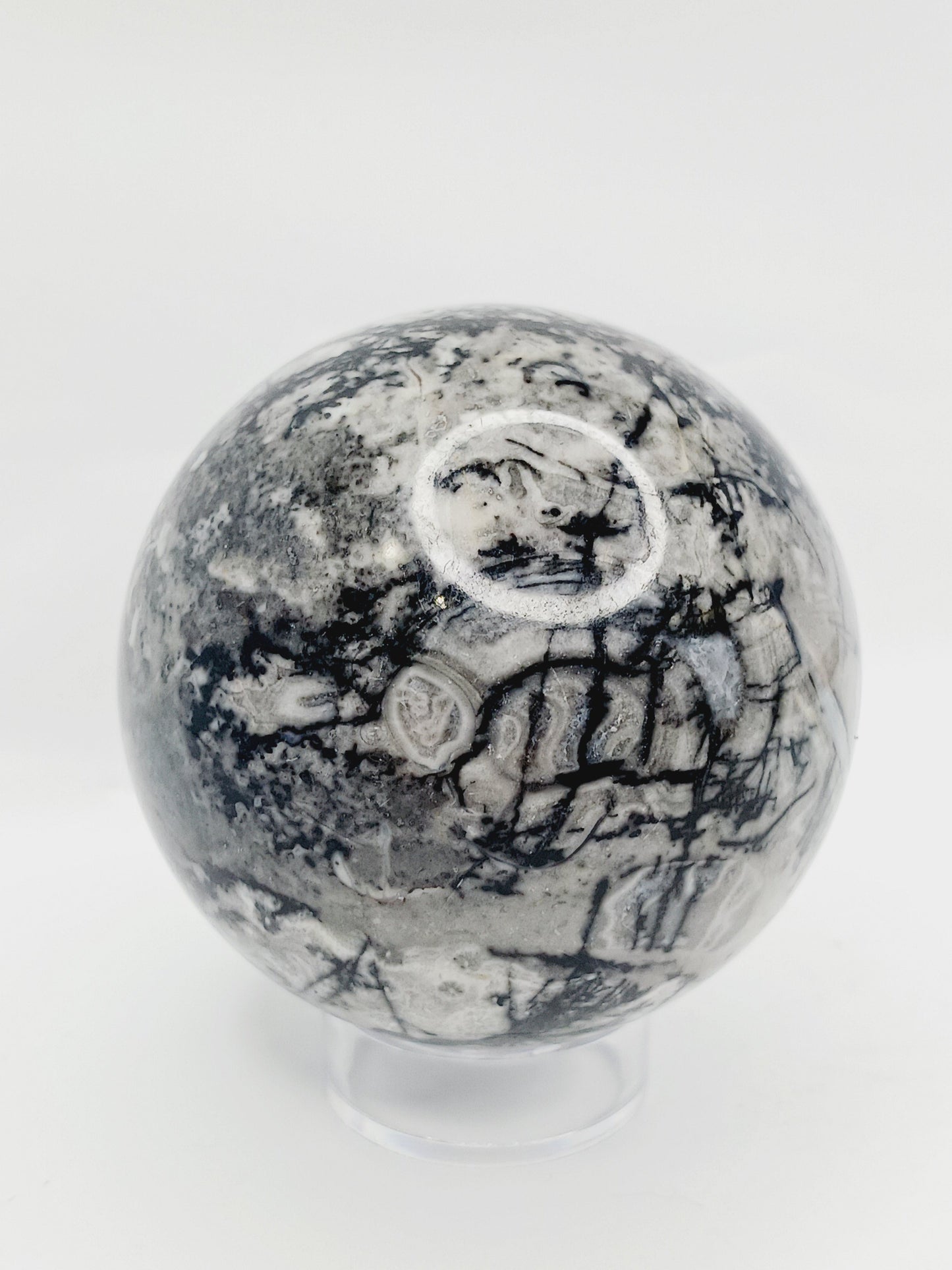 🌿🦴 Fossil Agate Sphere (2.5’’–3’’) – Ancient Wisdom Grounding Energy and Natural Beauty! ✨ - 2