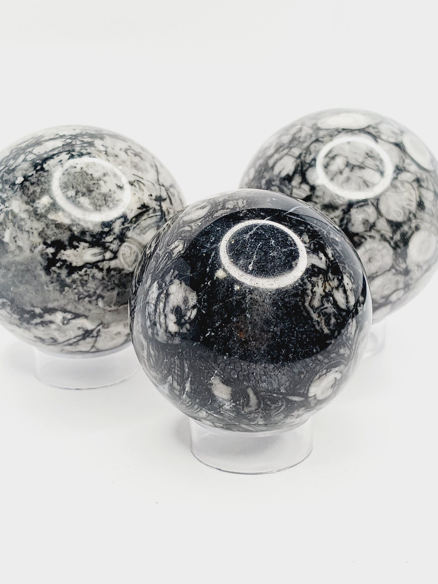 🌿🦴 Fossil Agate Sphere (2.5’’–3’’) – Ancient Wisdom Grounding Energy and Natural Beauty! ✨