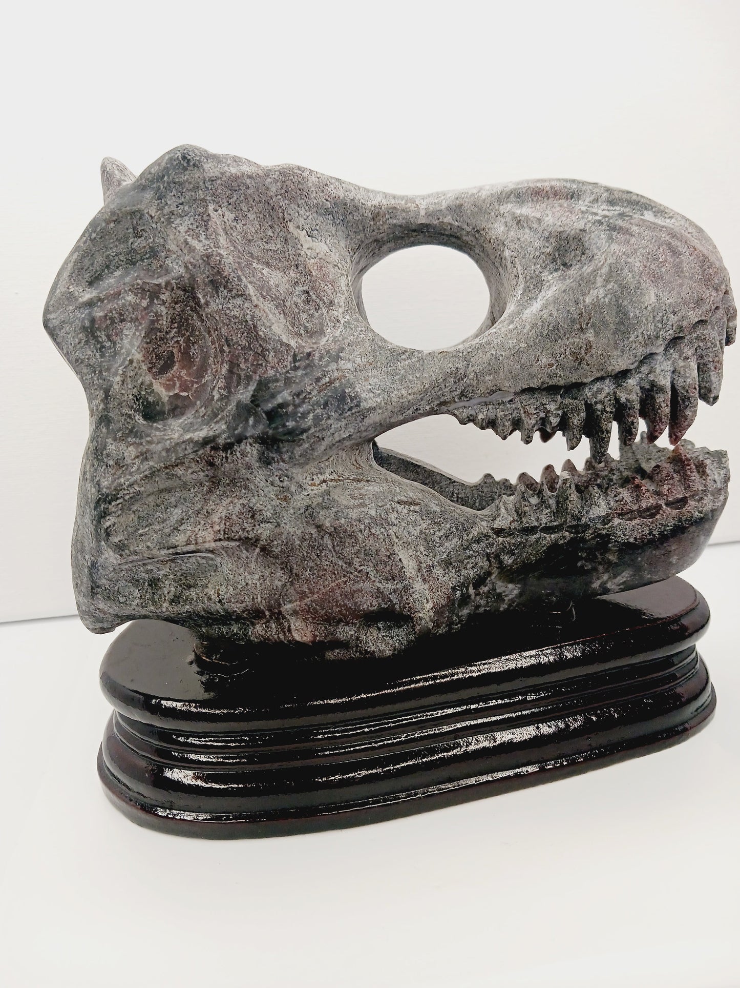 🦖❤️ Garnet Dinosaur Skull on Wood Stand – Ancient Power and Vitality ✨ - Carvings