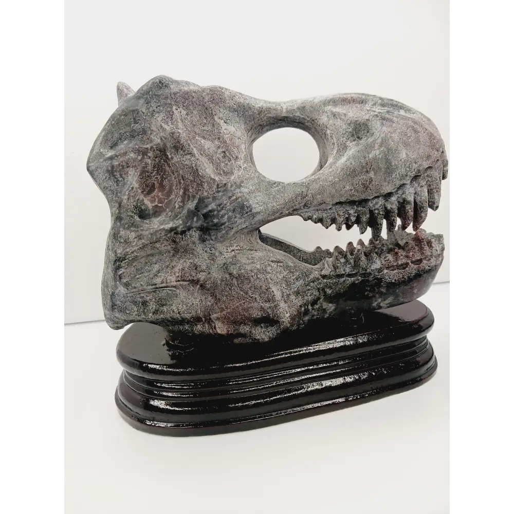 🦖❤️ Garnet Dinosaur Skull on Wood Stand – Ancient Power and Vitality ✨ - Carvings