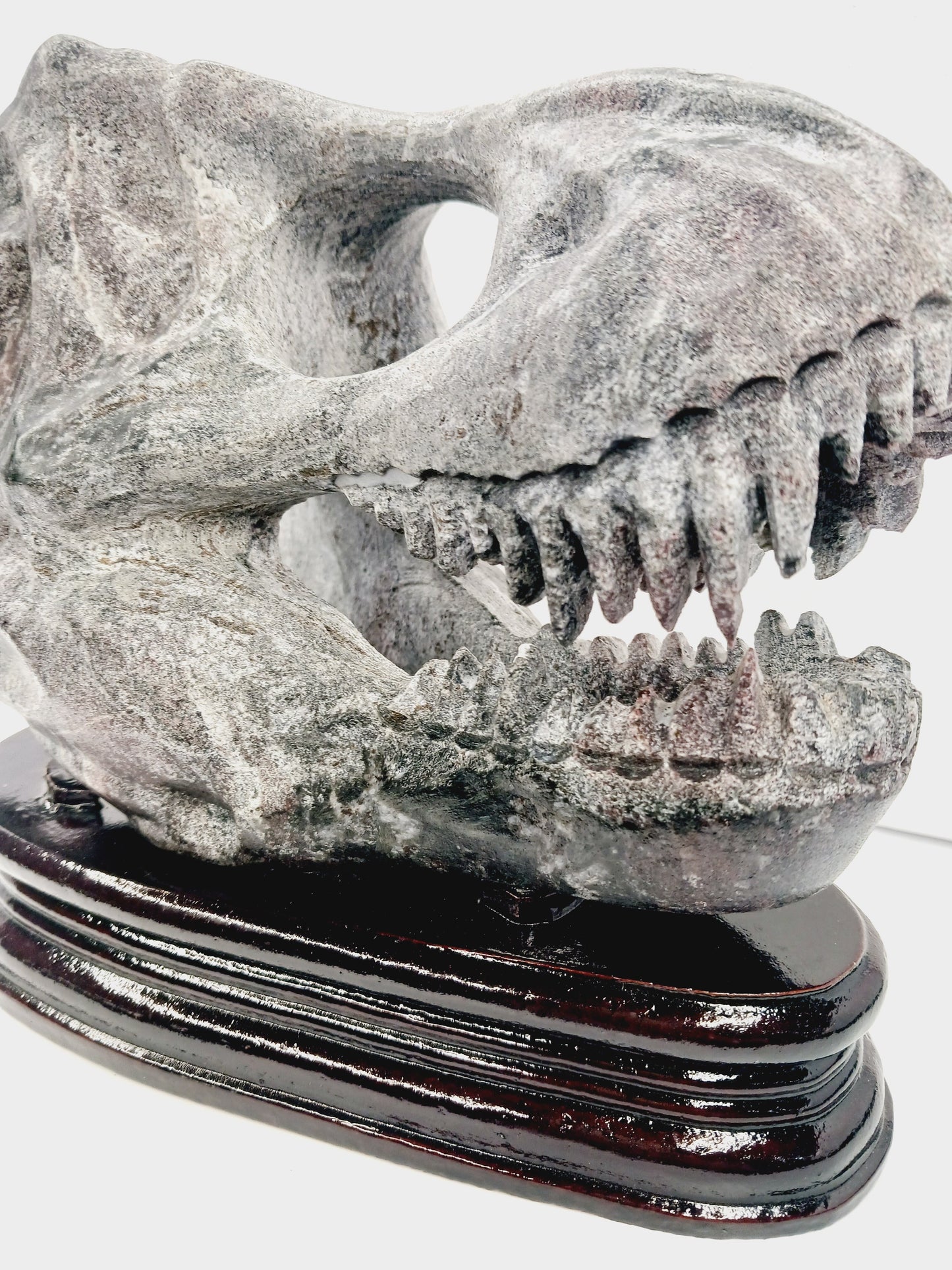 🦖❤️ Garnet Dinosaur Skull on Wood Stand – Ancient Power and Vitality ✨ - Carvings
