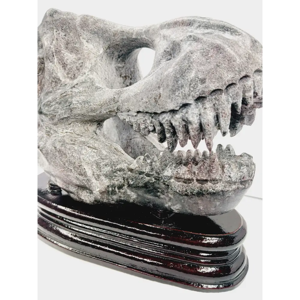 🦖❤️ Garnet Dinosaur Skull on Wood Stand – Ancient Power and Vitality ✨ - Carvings