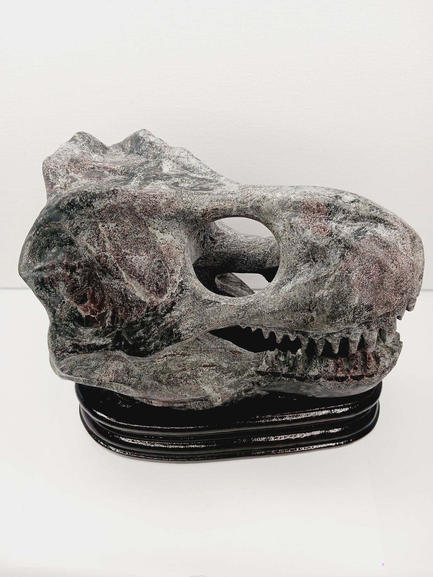 🦖❤️ Garnet Dinosaur Skull on Wood Stand – Ancient Power and Vitality ✨ - Carvings