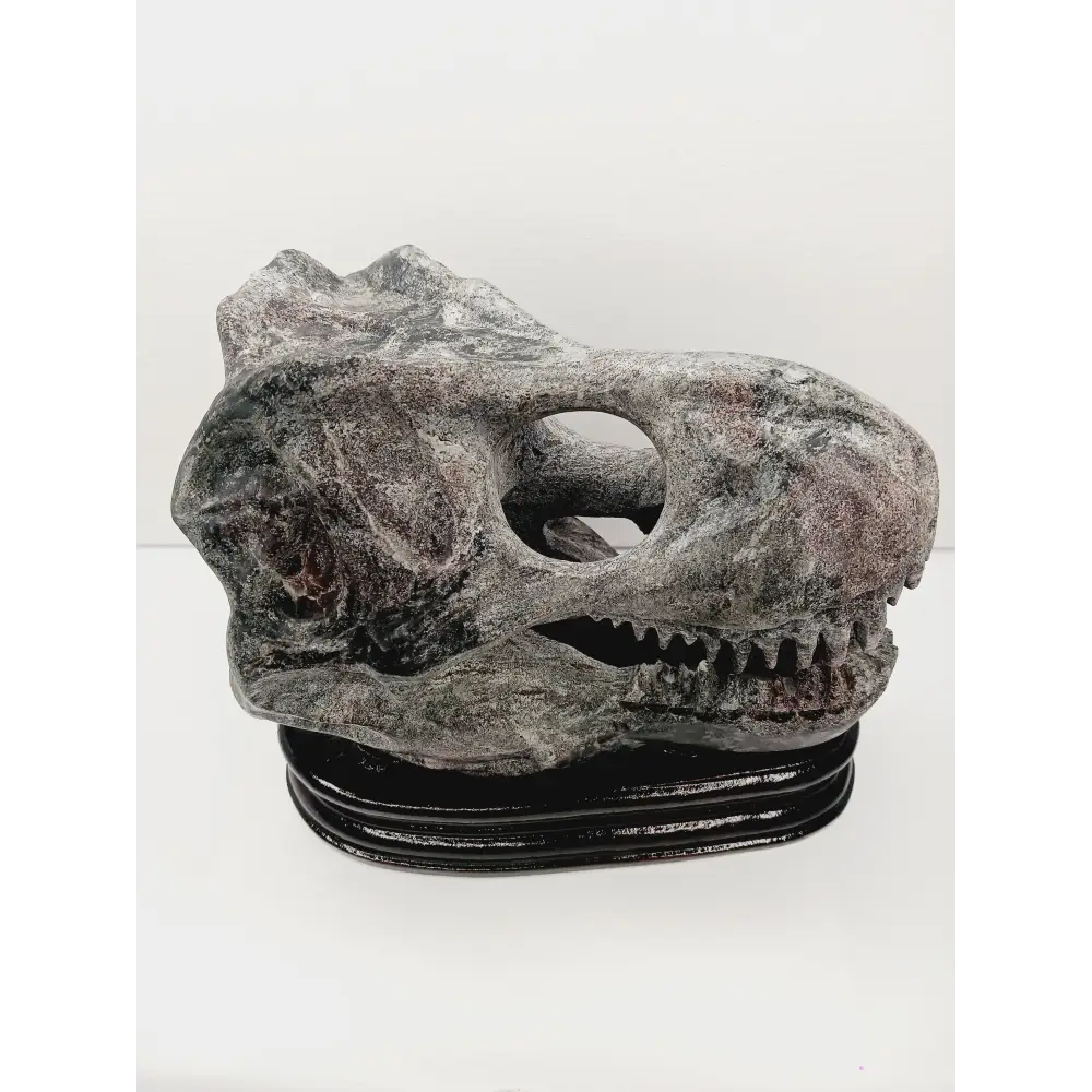 🦖❤️ Garnet Dinosaur Skull on Wood Stand – Ancient Power and Vitality ✨ - Carvings