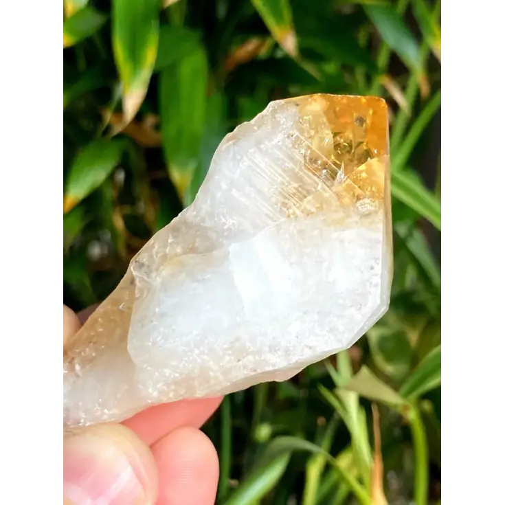 šāØ Heat Treated Citrine Dragon Teeth ā Manifestation Confidence & Fiery Magic! š„ - Tumbles