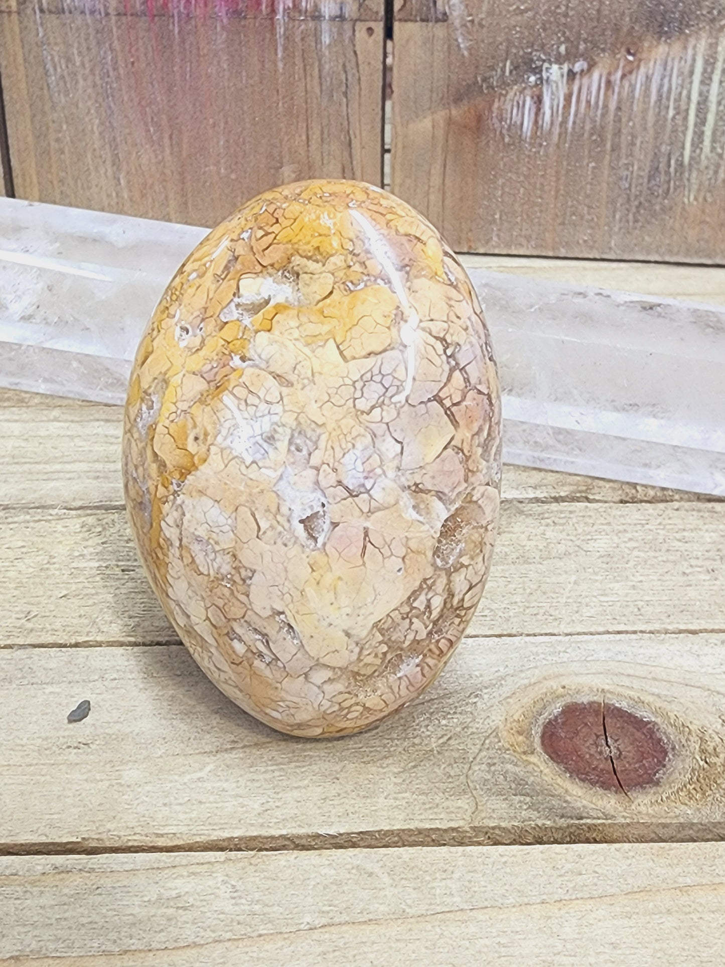 Ibis Madagascar Jasper - 7 - PALM