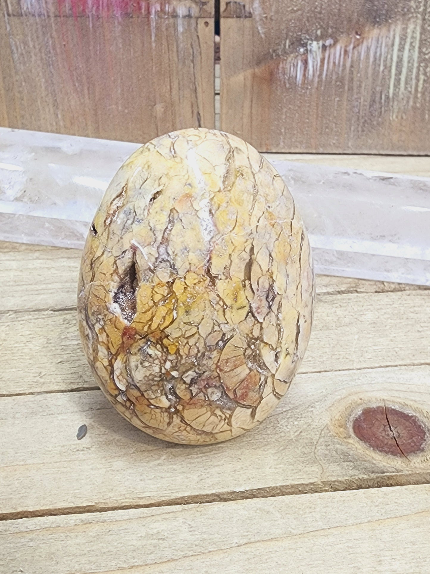 Ibis Madagascar Jasper - 9 - PALM