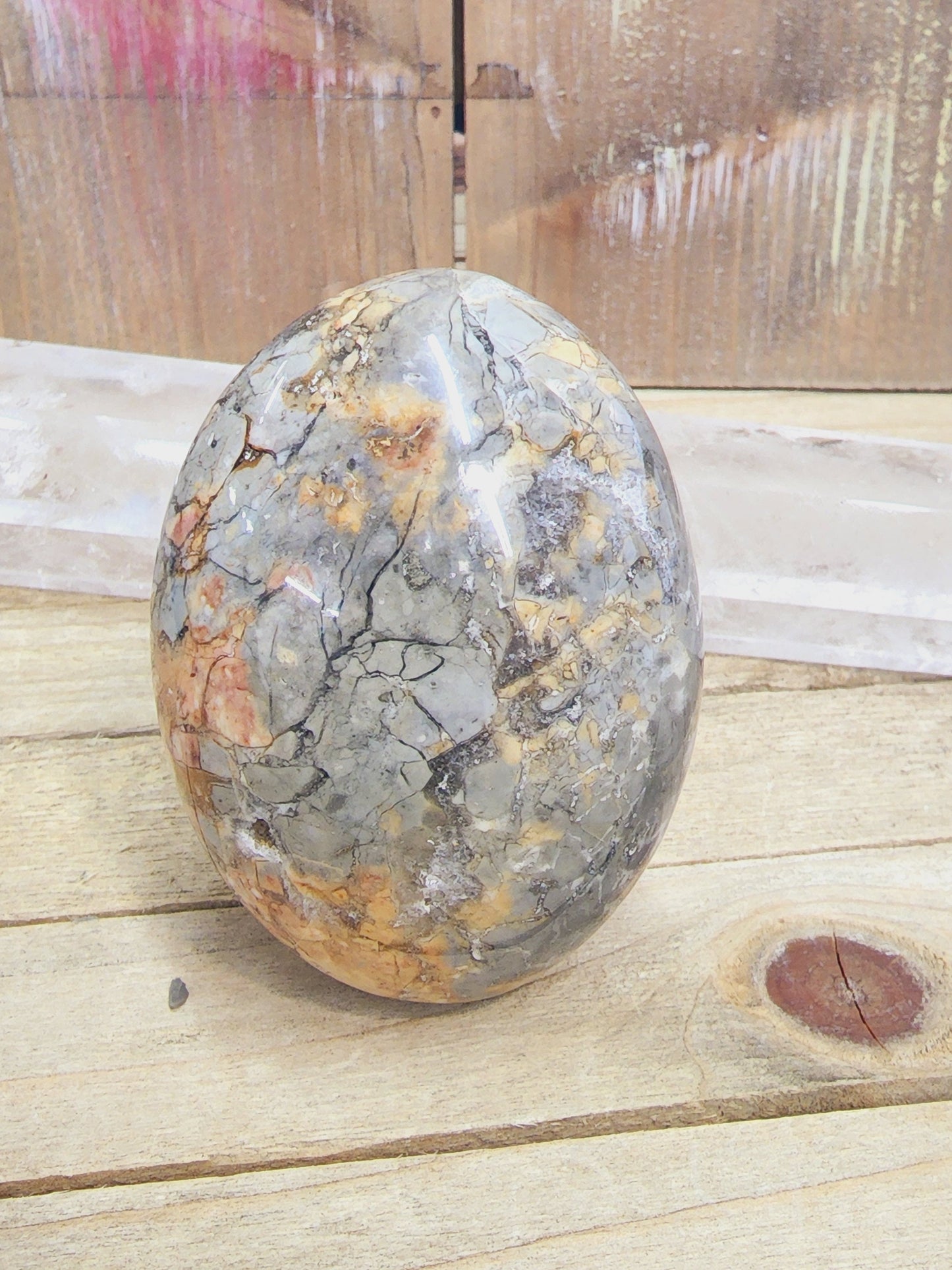 Ibis Madagascar Jasper - 4 - PALM