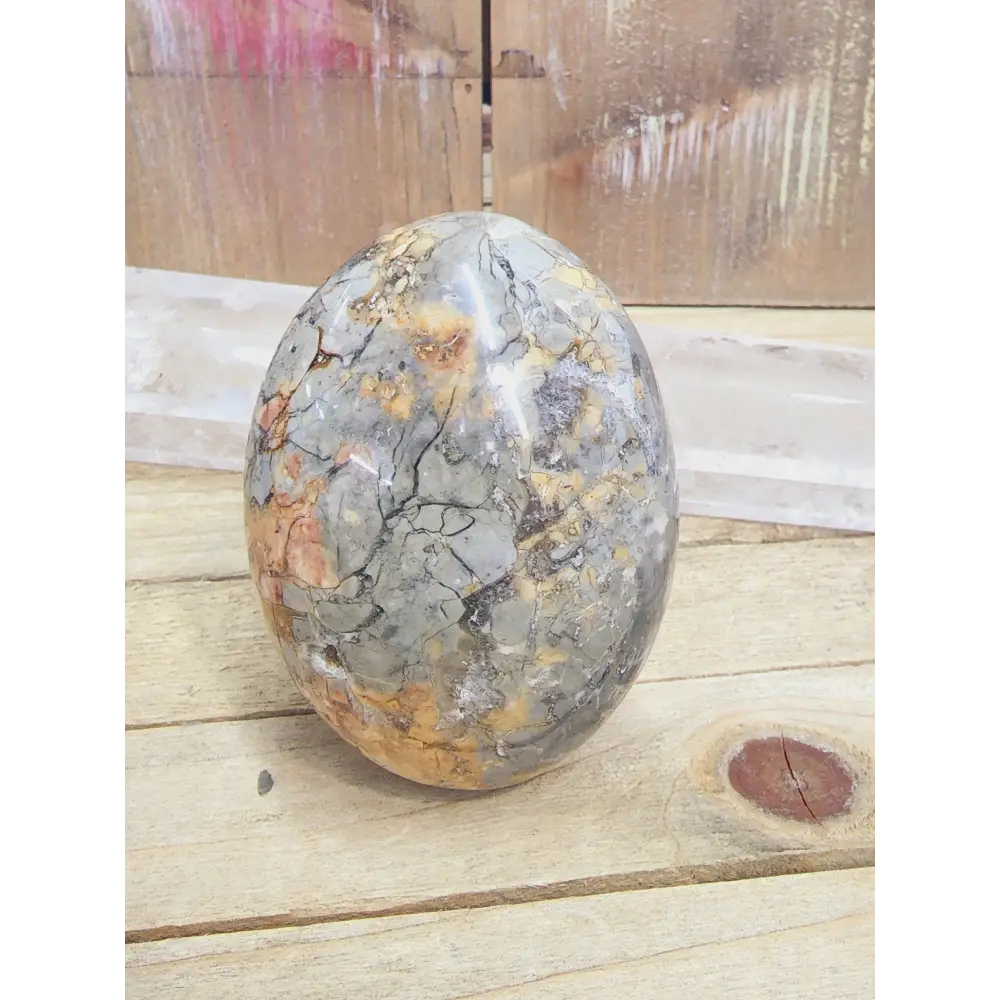 Ibis Madagascar Jasper - 4 - PALM