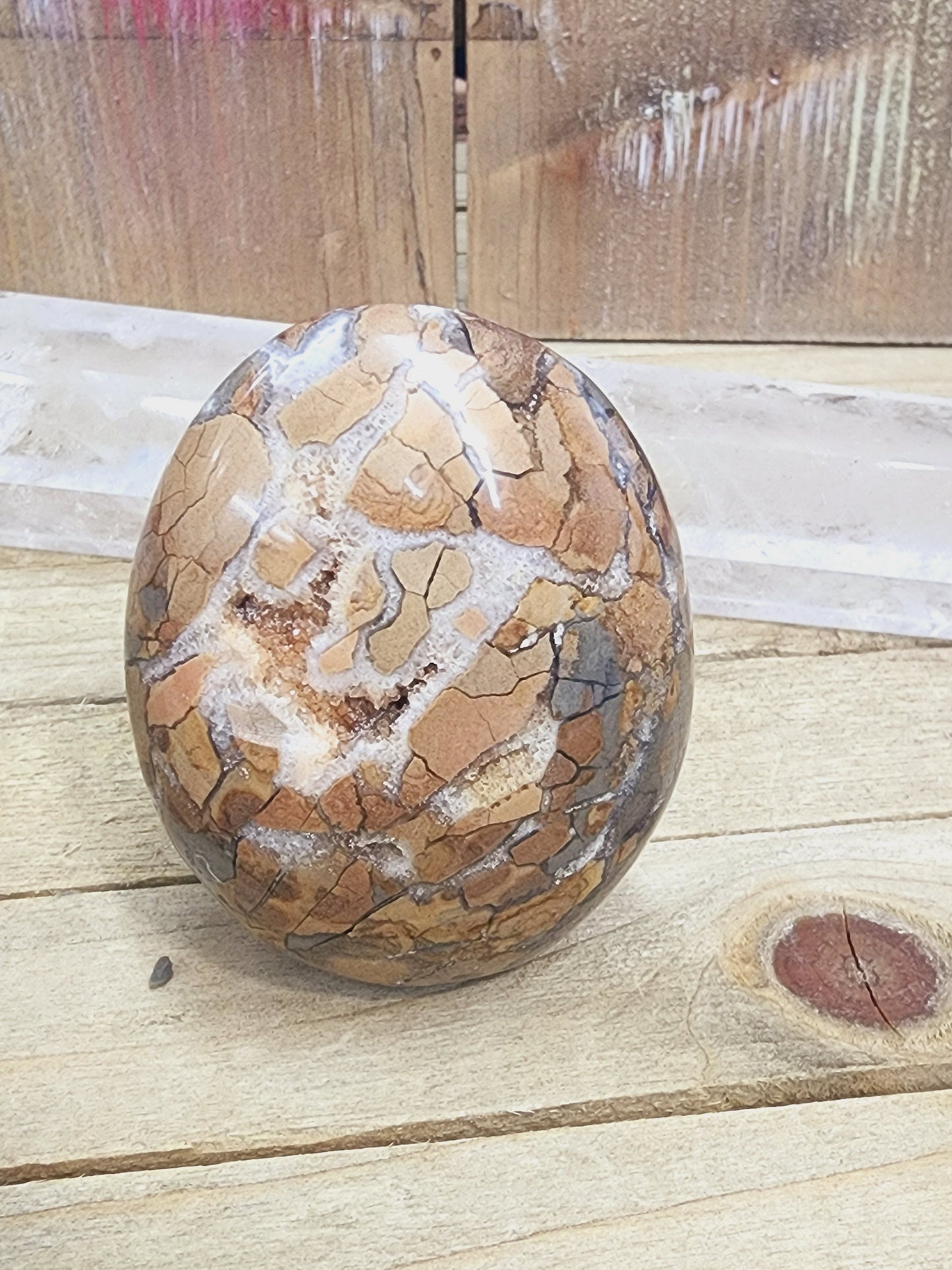 Ibis Madagascar Jasper - 6 - PALM
