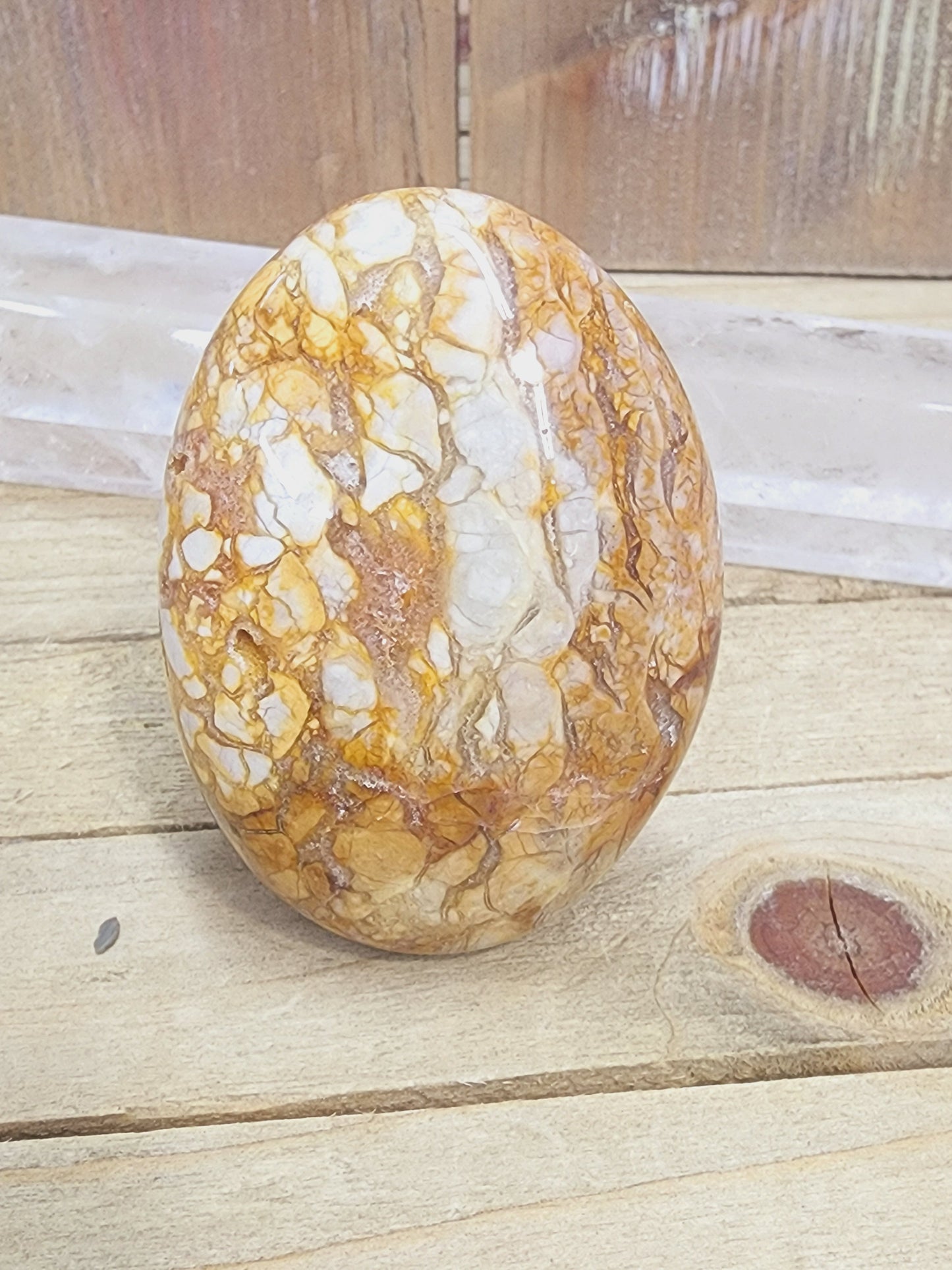 Ibis Madagascar Jasper - 8 - PALM