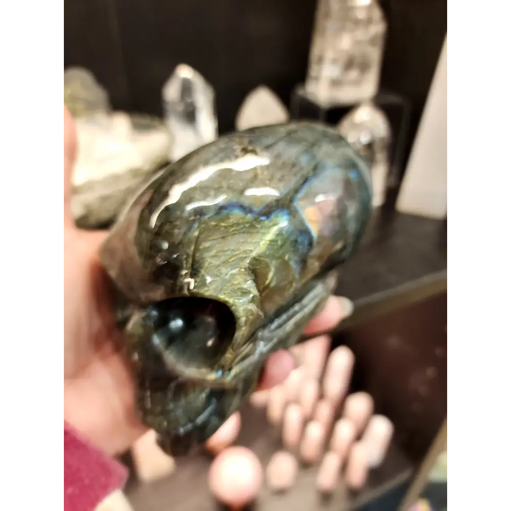 👽💜 Labradorite Alien Skull with Purple Flash – 7’’ Long 4’’ Tall – Cosmic Mystique & Intuitive Power! 🌌 - Carvings