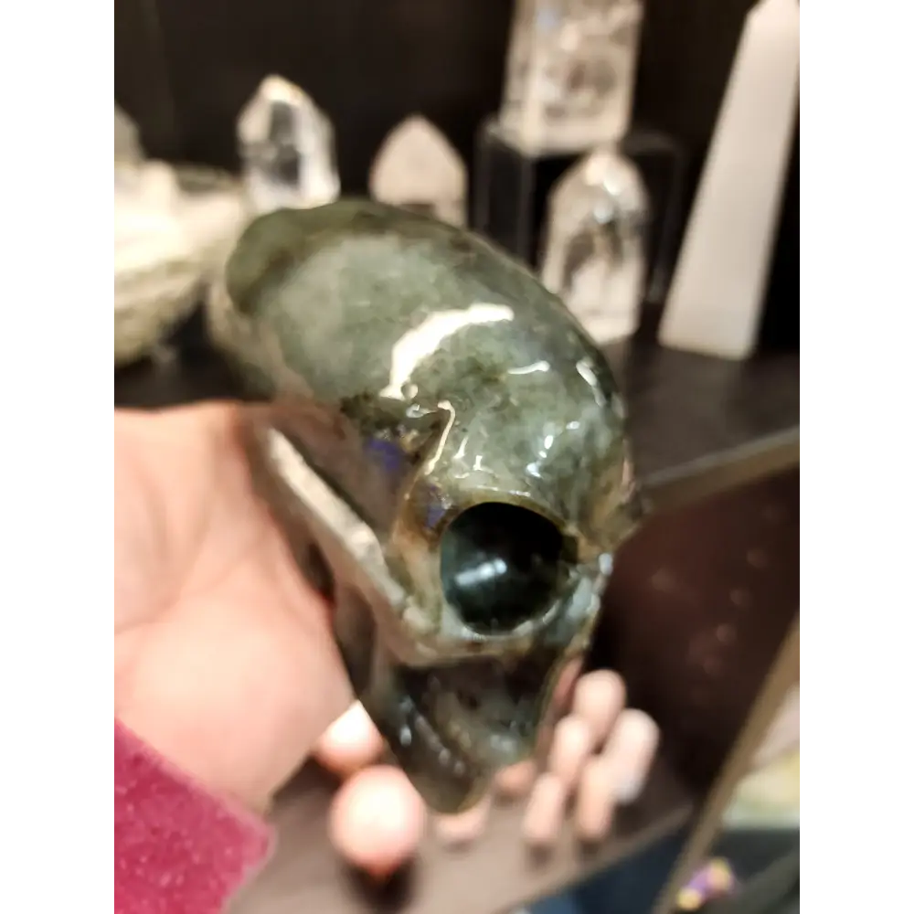 👽💜 Labradorite Alien Skull with Purple Flash – 7’’ Long 4’’ Tall – Cosmic Mystique & Intuitive Power! 🌌 - Carvings