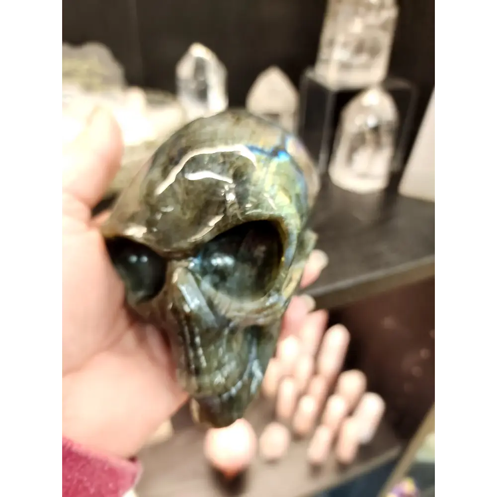 👽💜 Labradorite Alien Skull with Purple Flash – 7’’ Long 4’’ Tall – Cosmic Mystique & Intuitive Power! 🌌 - Carvings