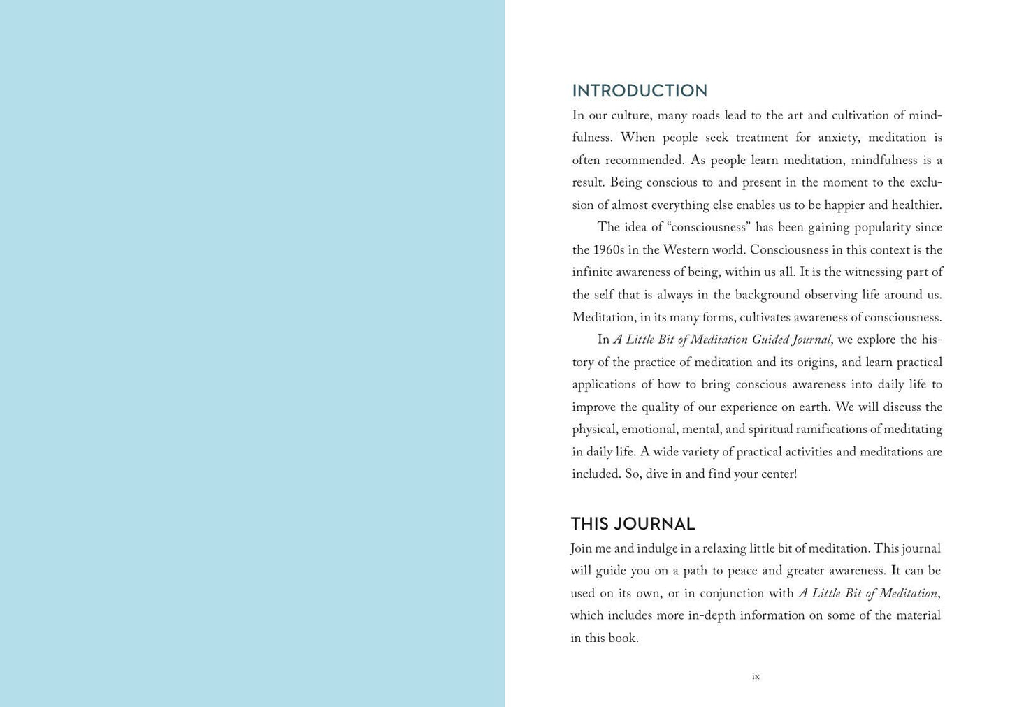 Little Bit of Meditation Guided Journal - Tarot Decks & Divination