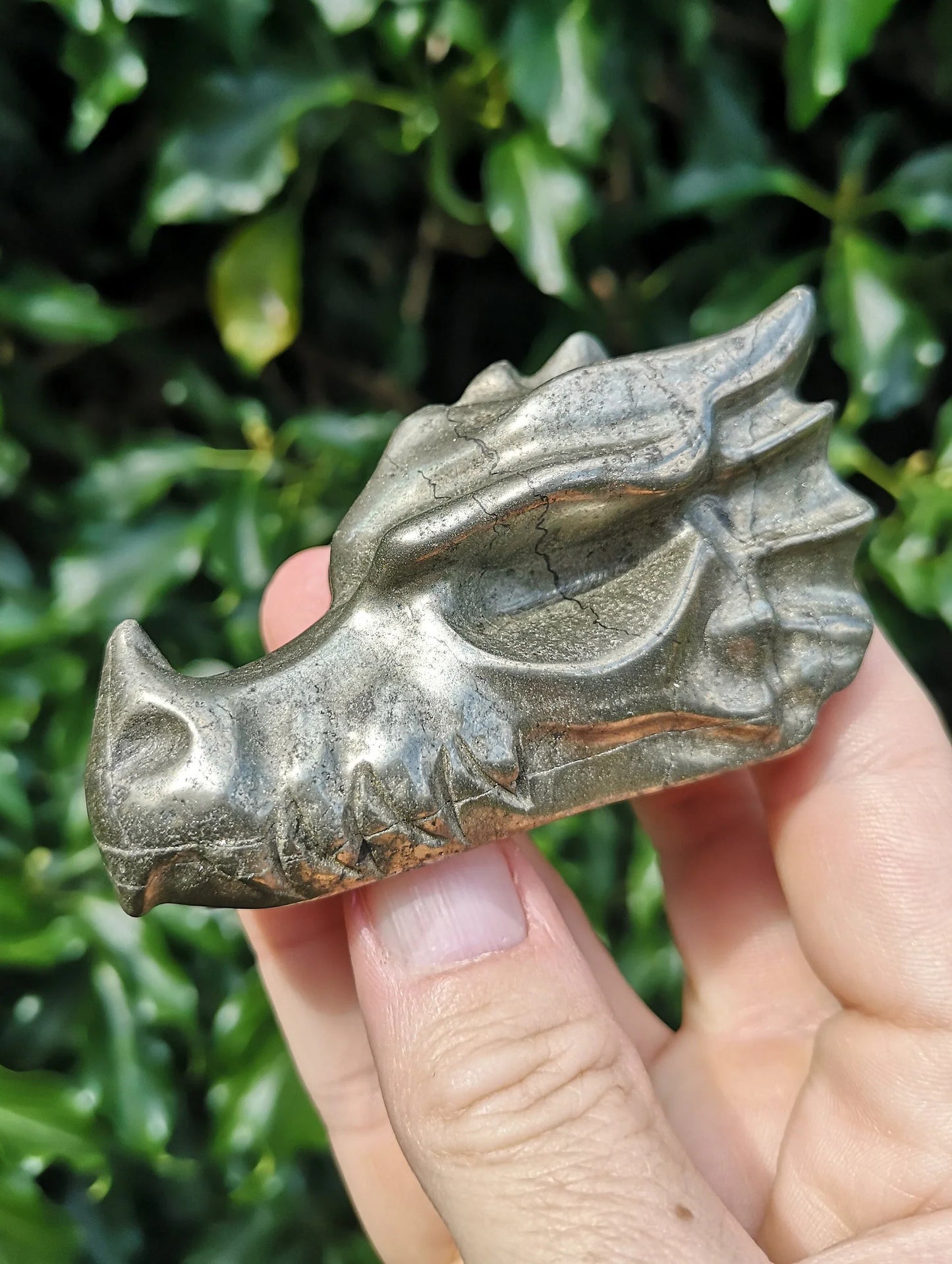 🐉✨ Mixed Material Crystal Dragon Heads – 3’’ – Mystical Guardians & Unique Energy Blends! 🌈 - Pyrite - Carvings