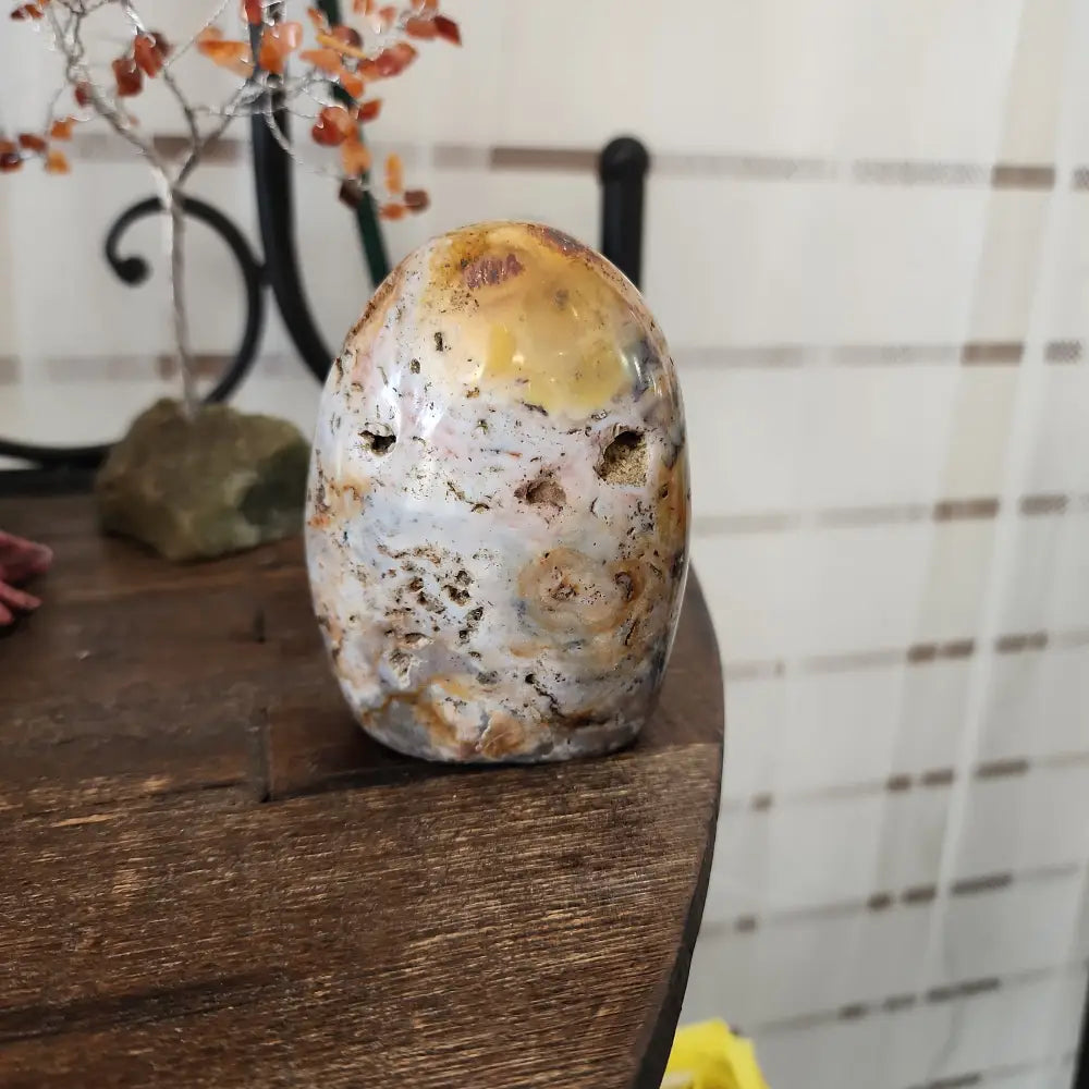 OCEAN JASPER FREE FORMS - 9 - Free Forms