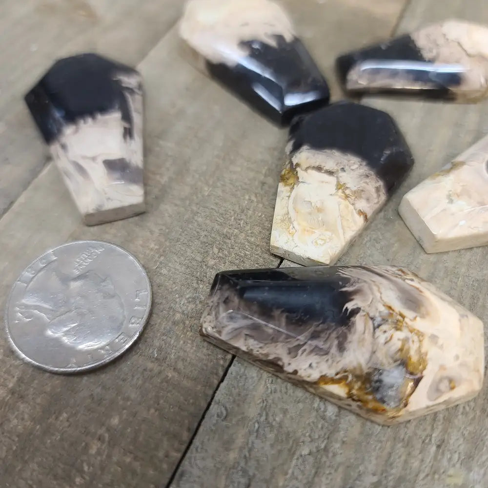 Palm Root Agate Coffins - Carvings