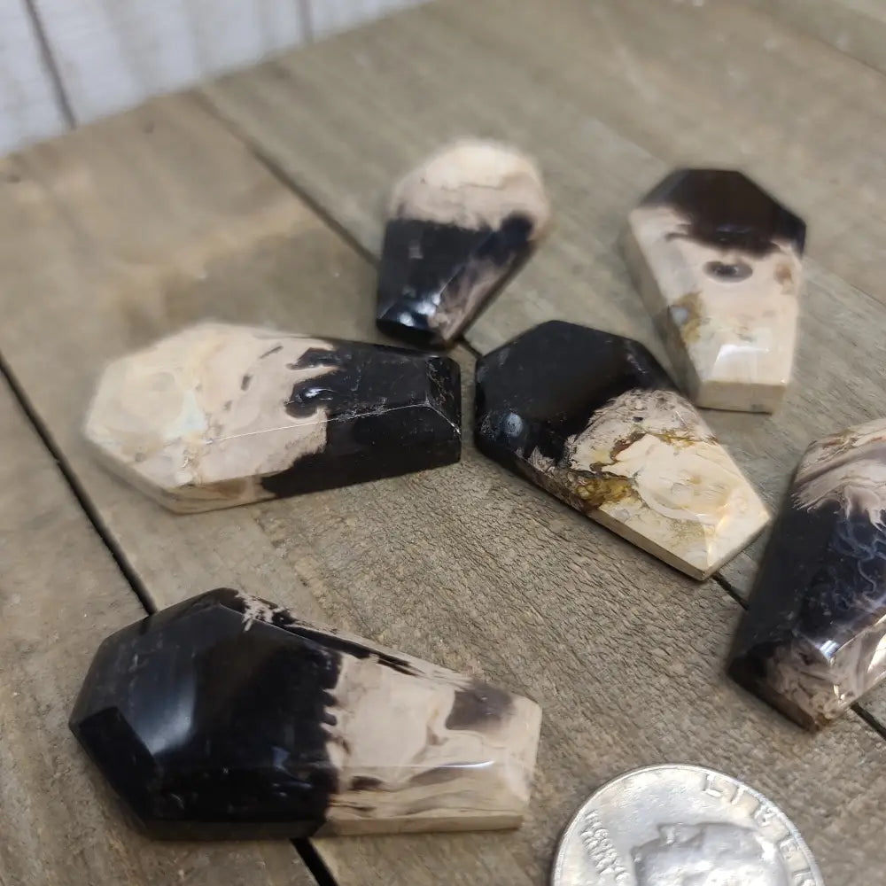 Palm Root Agate Coffins - Carvings
