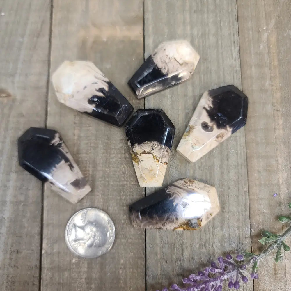 Palm Root Agate Coffins - Carvings