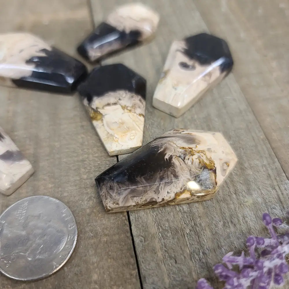 Palm Root Agate Coffins - Carvings