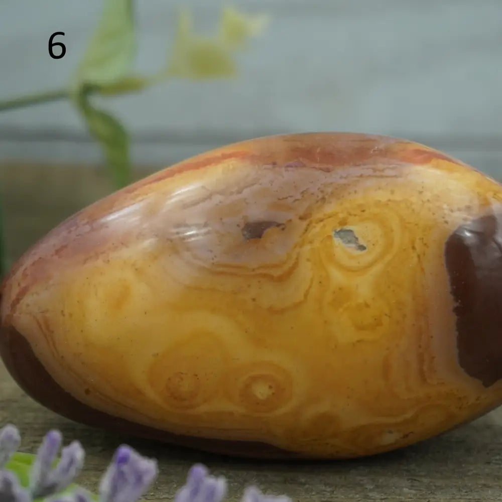 POLYJASPER JASPER - POLYCHROME PALMS - PALM
