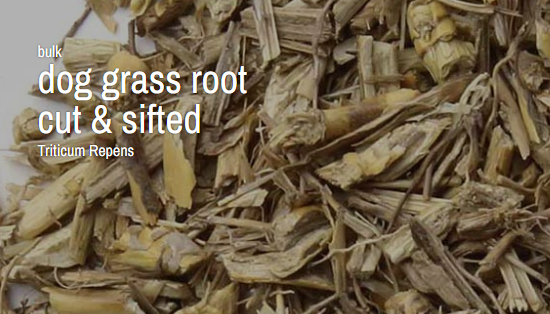 🌿✨ Pre-Packaged Herbs By The Ounce (1 oz) – Ritual Healing and Botanical Magic! 🍃 Page 1 - Dog Grass (couchroot) Root