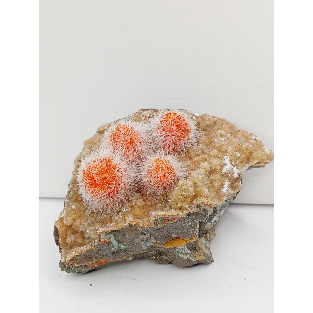 🌟 Rare Moroccan Orange Magnesite & Quartz Zeolite Specimen 🌄 - 2 - 4.5’’ - Specimens