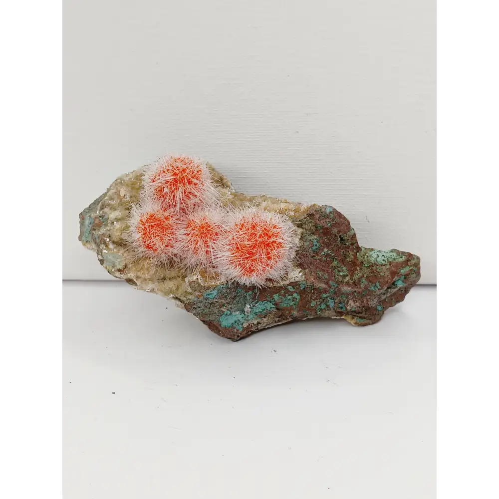 🌟 Rare Moroccan Orange Magnesite & Quartz Zeolite Specimen 🌄 - 3 - 4.25’’ - Specimens
