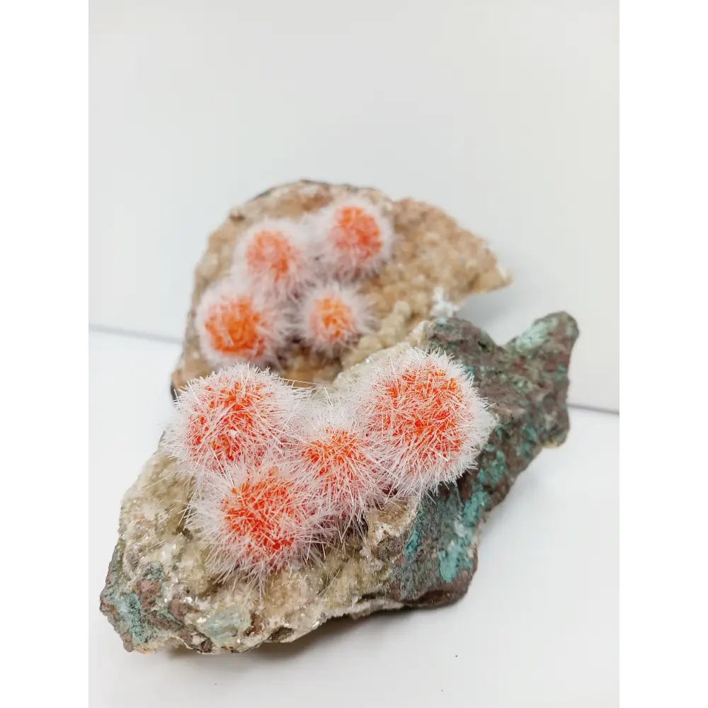 🌟 Rare Moroccan Orange Magnesite & Quartz Zeolite Specimen 🌄 - Specimens
