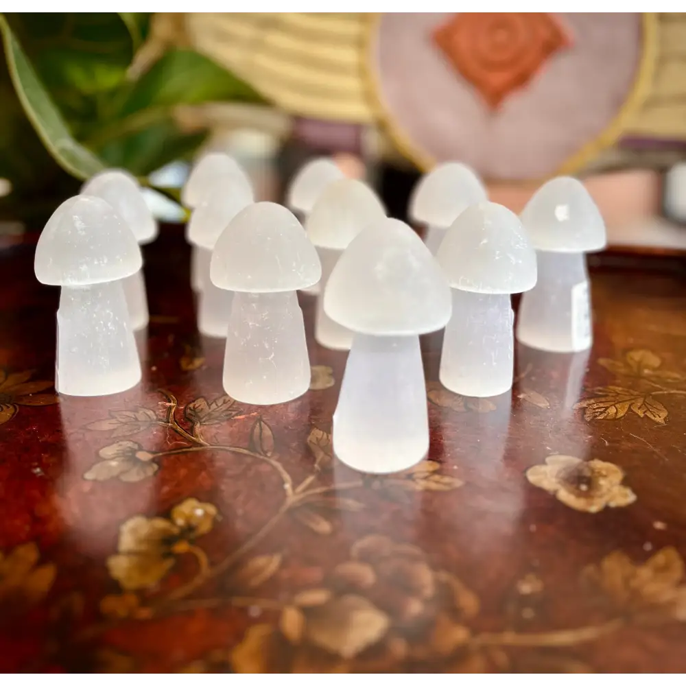 Selenite Mushroom - Carvings