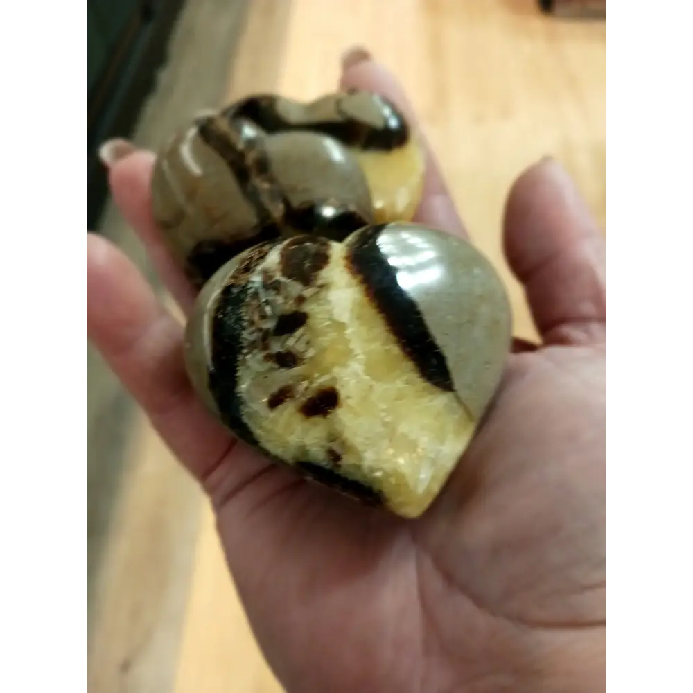💛🤎 Septarian Hearts (approx. 2’’) – Nurturing Protection and Ancient Wisdom! 🤎💛 - Carvings
